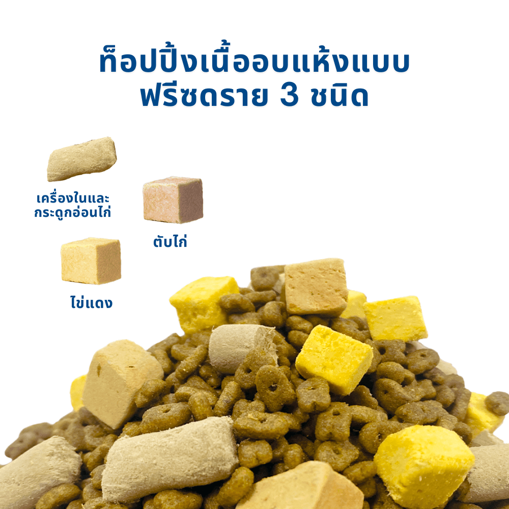 อาหารแมวผสมฟรีซดราย MR.VET สูตร T1 HOLISTIC รสไก่และเนื้อวัว 1 กก._4